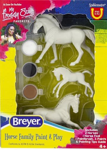 BREYER HORSE FAMILY PAINT & PLAY - Bony Pony