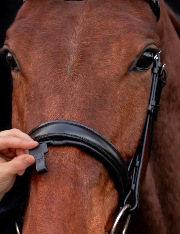 SCHOCKEMOHLE® MALAGA DRESSAGE BRIDLE WITH REMOVABLE FLASH - Image 2