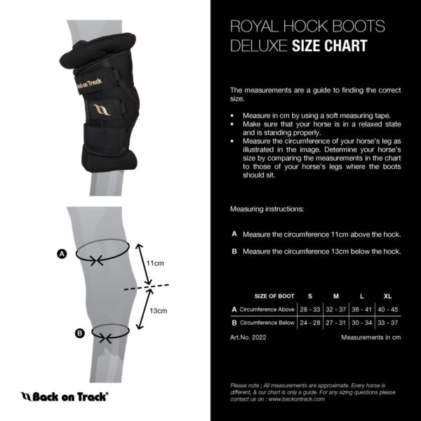 BACK ON TRACK® ROYAL HOCK BOOTS DELUXE - Image 4